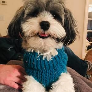 Meet your Posher, Brigid